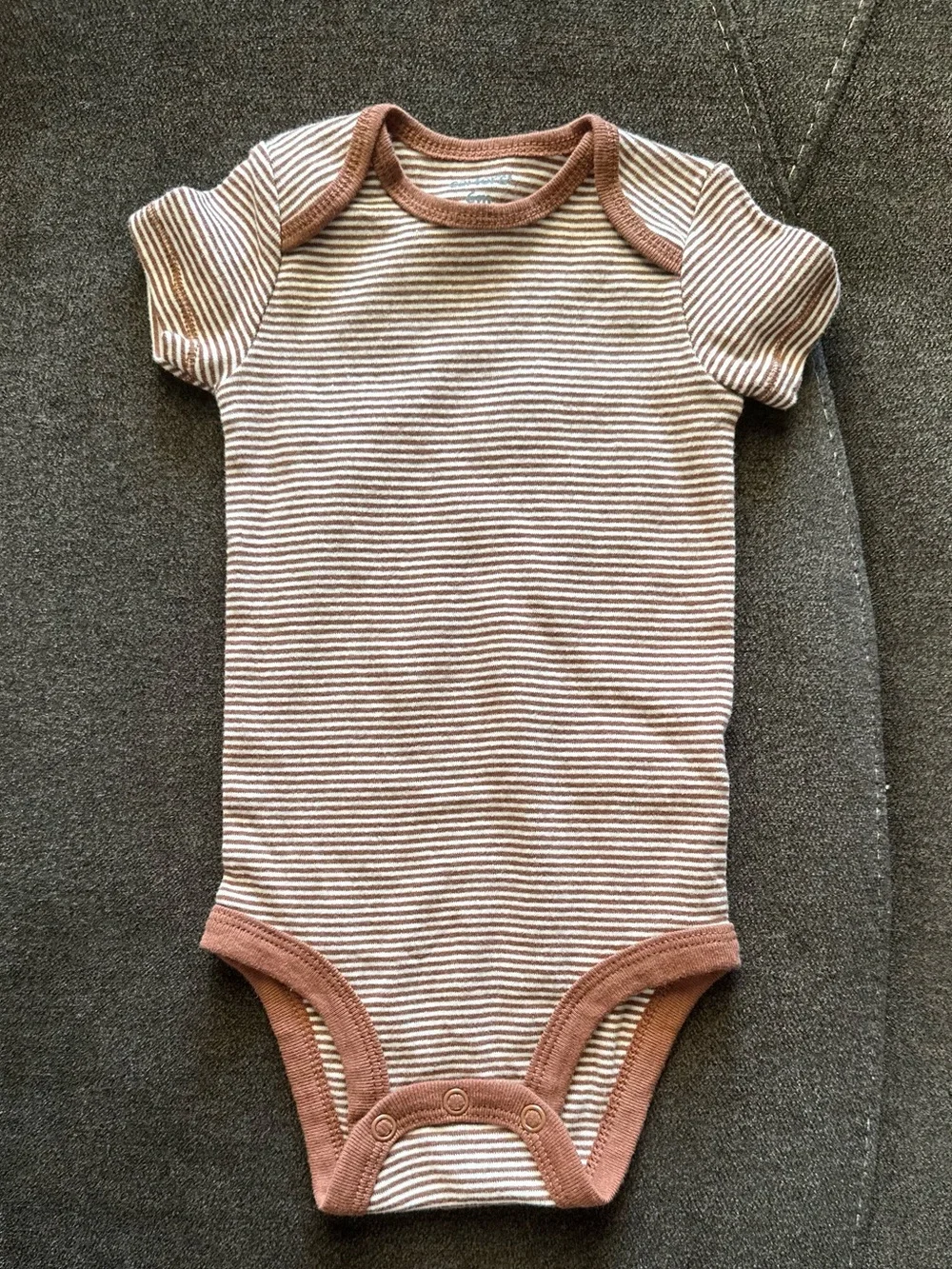 Carter's Navy, Brown & Cream Baby Bear Bodysuit and Pant Set